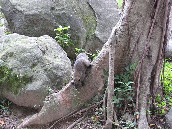 IMG_9561.JPG