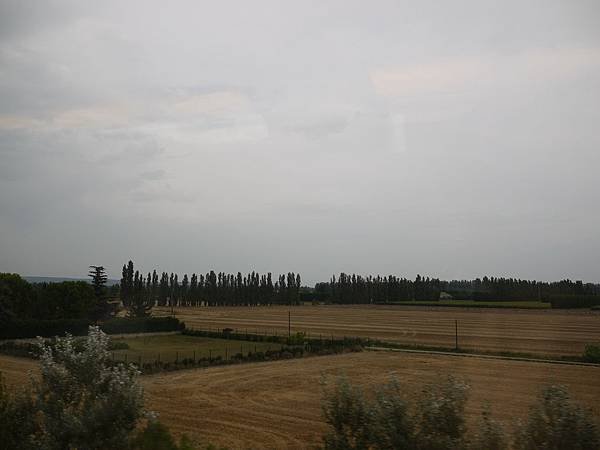 P1010684.JPG