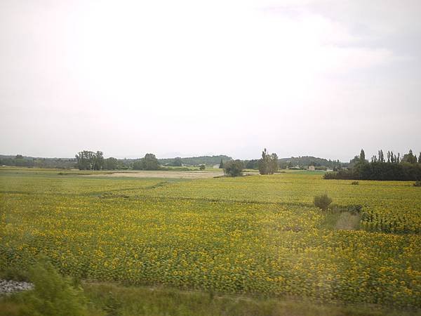 P1010687.JPG