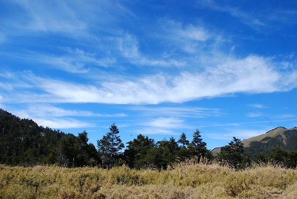 DSC_3739.JPG