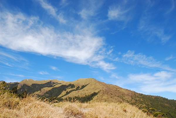 DSC_3753.JPG
