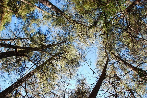 DSC_3759.JPG