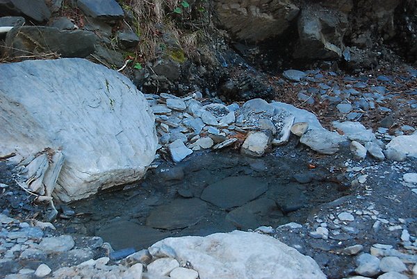 DSC_3880.JPG