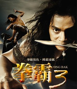 拳霸3_poster_2.jpg