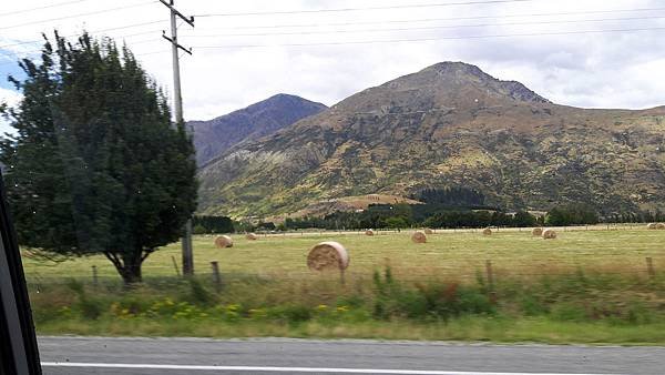 紐西蘭基督城及皇后鎮南島開車自由行