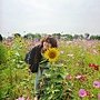 110405 清明無雨，高大花花綠綠 (9).JPG