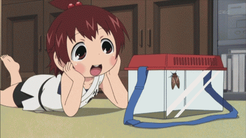 1278758384644.gif