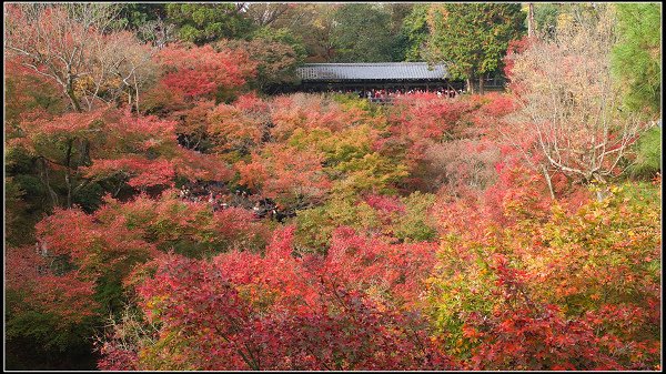 京阪2.JPG