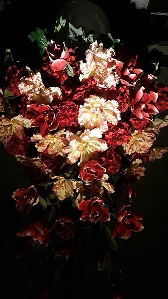 20170324_152444.jpg