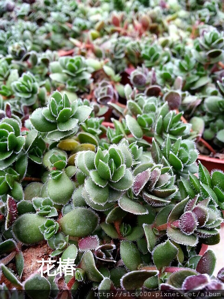 2012-12-11-22-54-50_deco