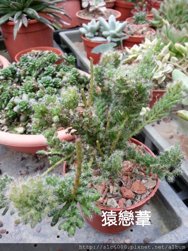 2012-12-11-10-43-09_deco