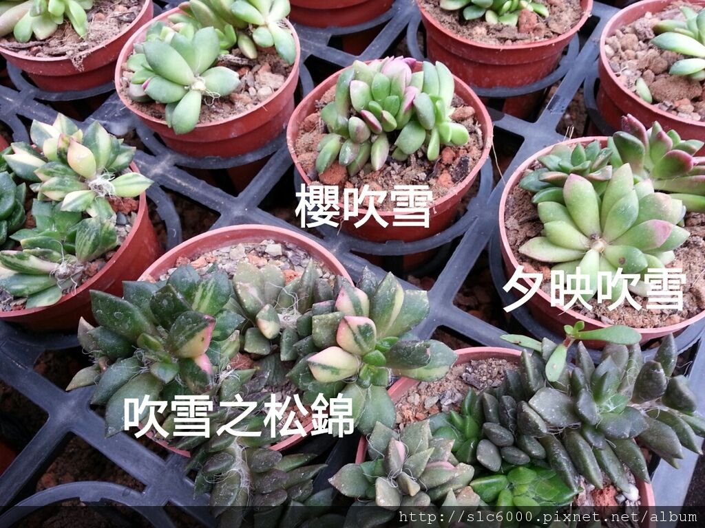 2012-12-11-10-32-50_deco