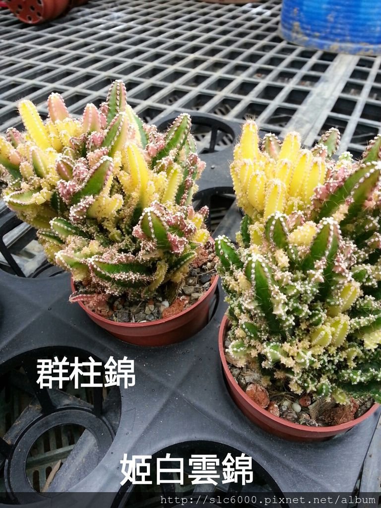 2012-12-11-10-29-09_deco