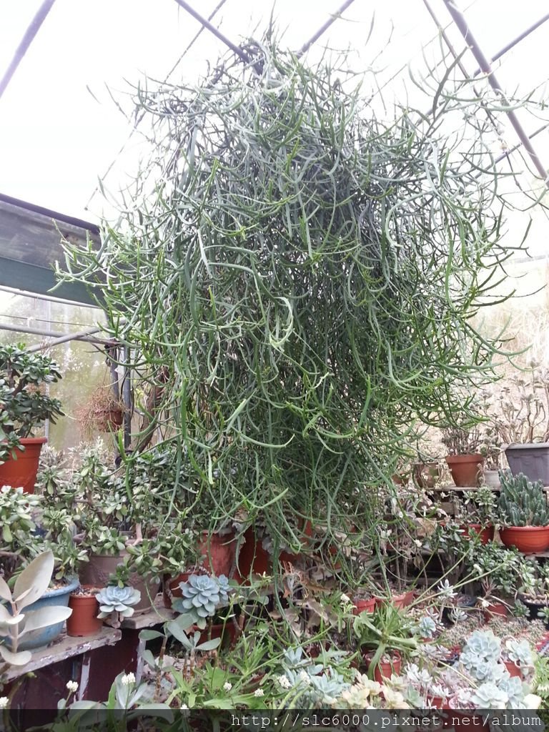 2012-12-11-11-32-54_photo