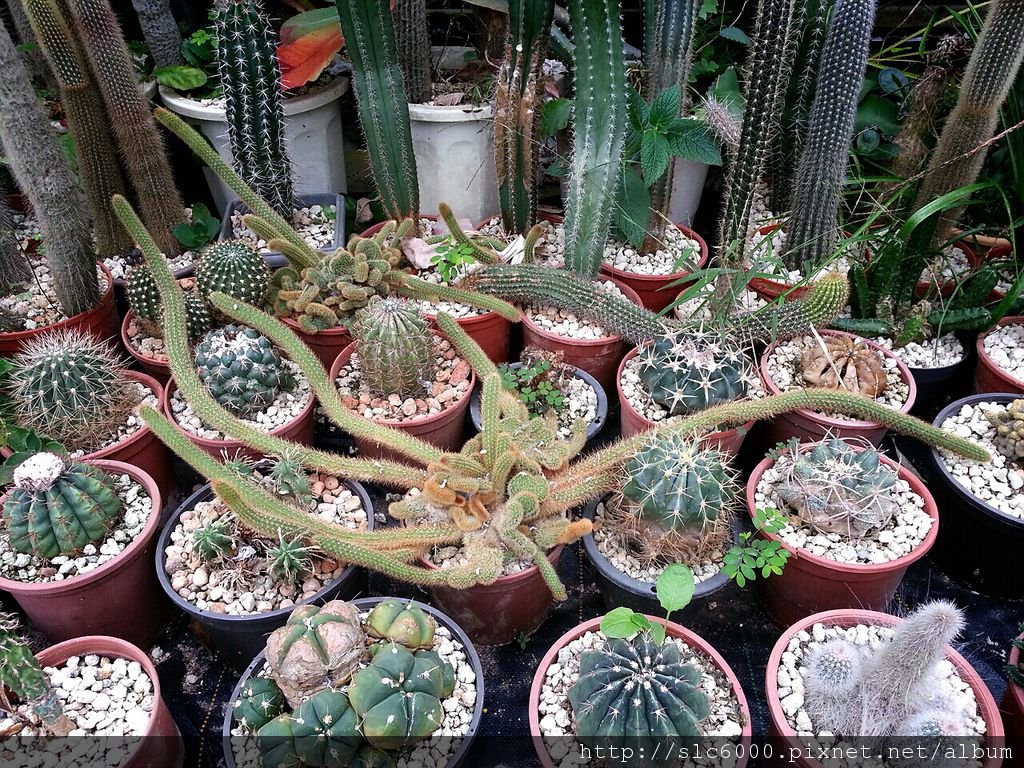 2012-12-11-22-42-48_deco