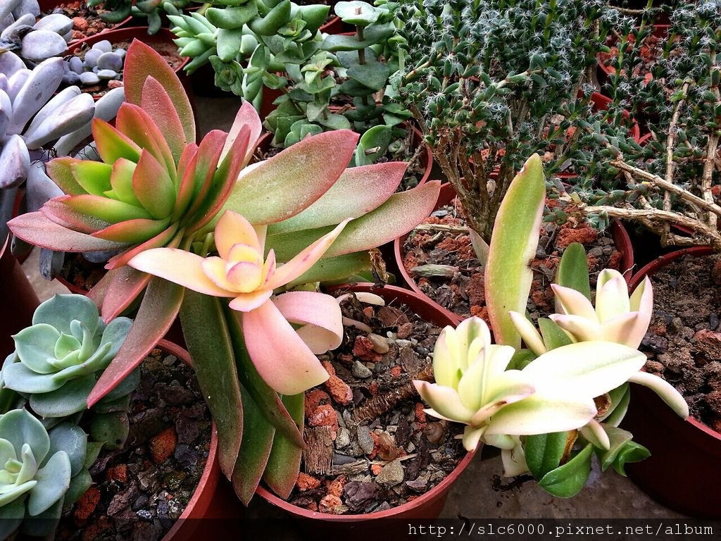 2012-12-11-22-46-57_deco