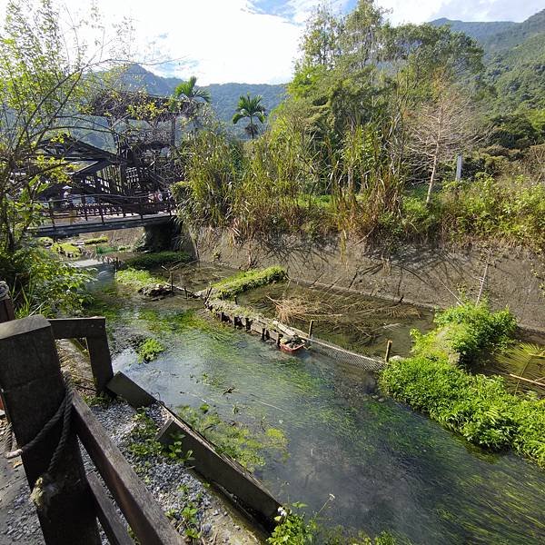 馬太鞍濕地 (31).jpg