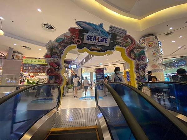 國外遊記 泰國 SEA LIFE Bangkok Ocean