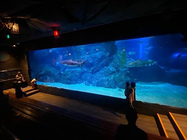 國外遊記 泰國 SEA LIFE Bangkok Ocean