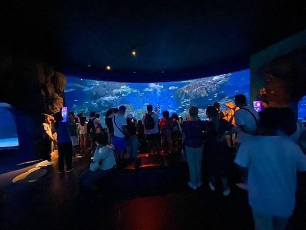 國外遊記 泰國 SEA LIFE Bangkok Ocean