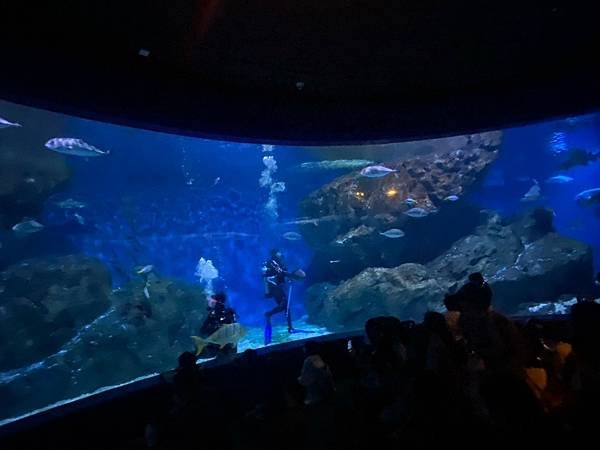 國外遊記 泰國 SEA LIFE Bangkok Ocean