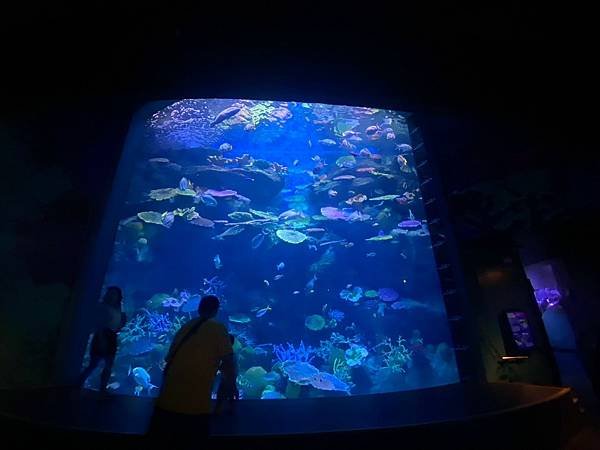 國外遊記 泰國 SEA LIFE Bangkok Ocean