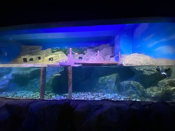 國外遊記 泰國 SEA LIFE Bangkok Ocean