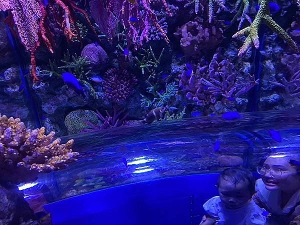 國外遊記 泰國 SEA LIFE Bangkok Ocean