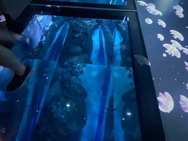 國外遊記 泰國 SEA LIFE Bangkok Ocean