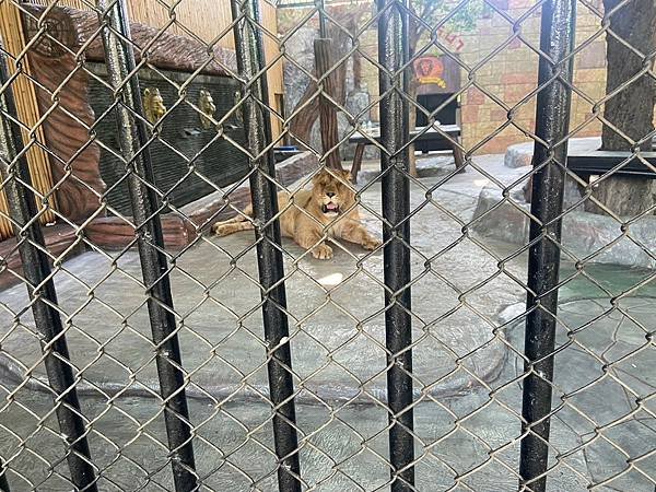 大城動物園  (85).jpg