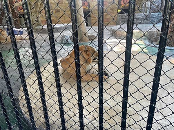 大城動物園  (87).jpg