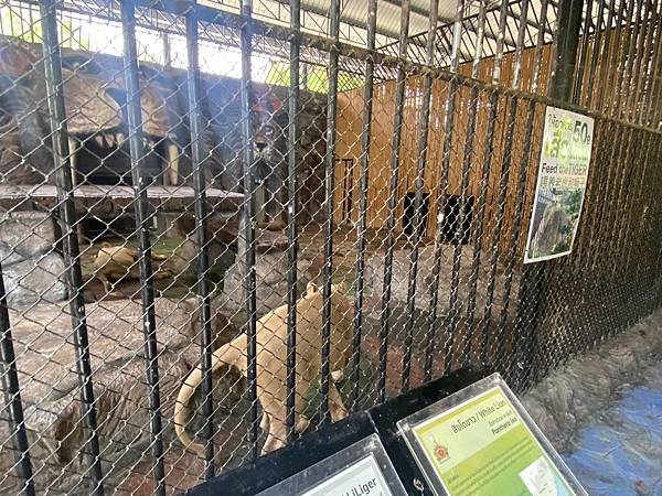 大城動物園  (104).jpg