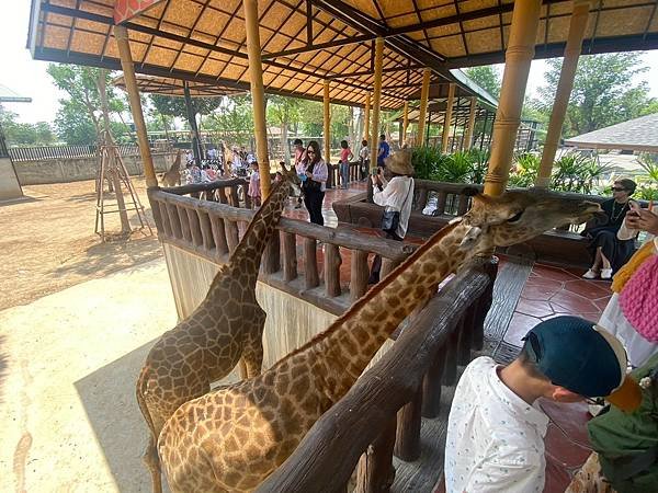 大城動物園  (141).jpg