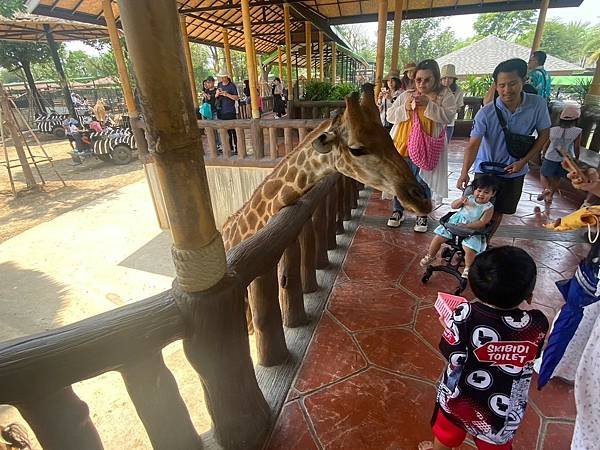 大城動物園  (155).jpg