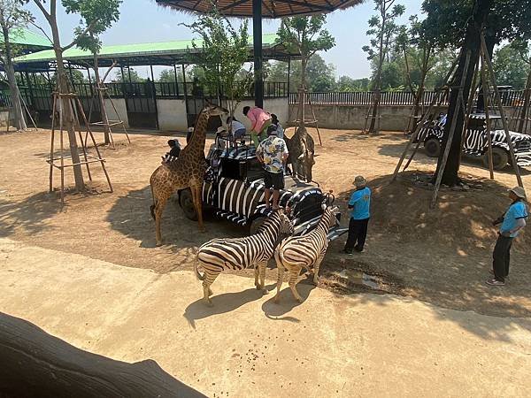 大城動物園  (168).jpg