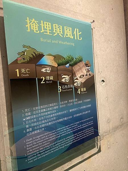 左鎮化石園區 (122).jpg