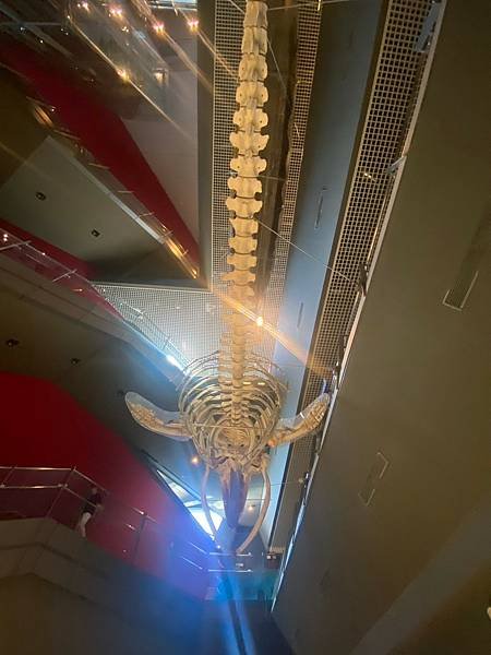 蘭陽博物館 常設展 (3).jpg