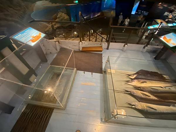 蘭陽博物館 常設展 (17).jpg