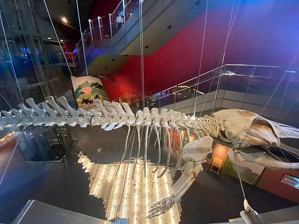 蘭陽博物館 常設展 (38).jpg