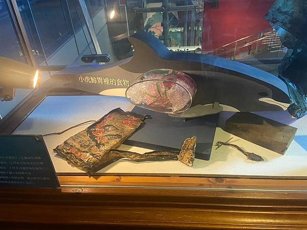 蘭陽博物館 常設展 (40).jpg