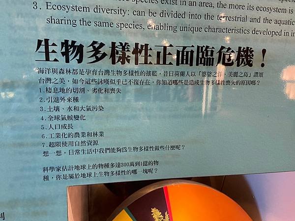 蘭陽博物館 常設展 (77).jpg