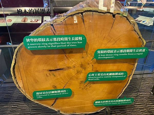 蘭陽博物館 常設展 (85).jpg