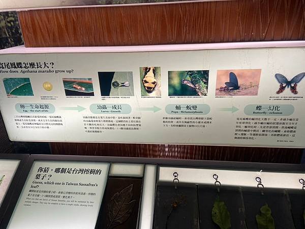 蘭陽博物館 常設展 (87).jpg