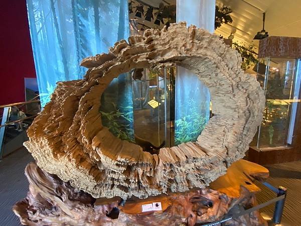 蘭陽博物館 常設展 (92).jpg