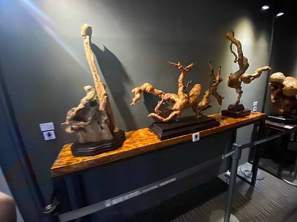 蘭陽博物館 常設展 (91).jpg