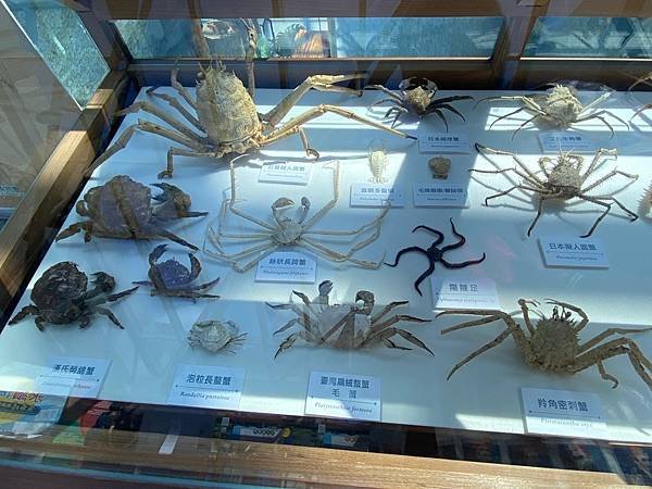 蘭陽博物館 常設展 (96).jpg
