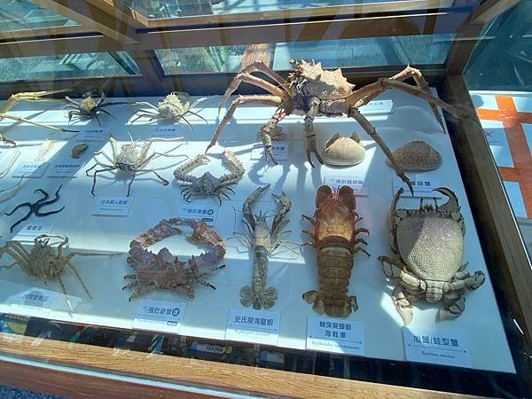蘭陽博物館 常設展 (97).jpg