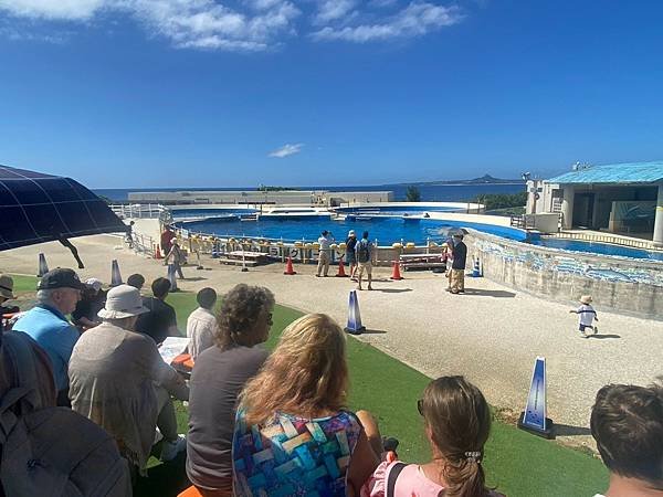 海洋博紀念公園~美之海水族館 (161).jpg