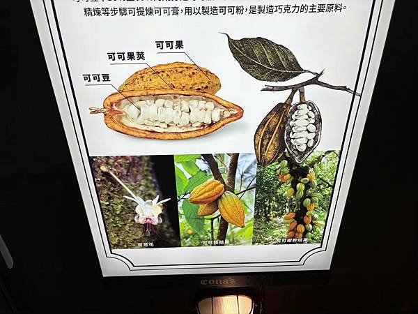 妮娜巧克力夢想城堡 (41).jpg