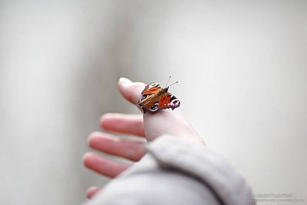 沒有甜味的拿鐵Eternity